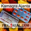 Kamagra Ajanta 36